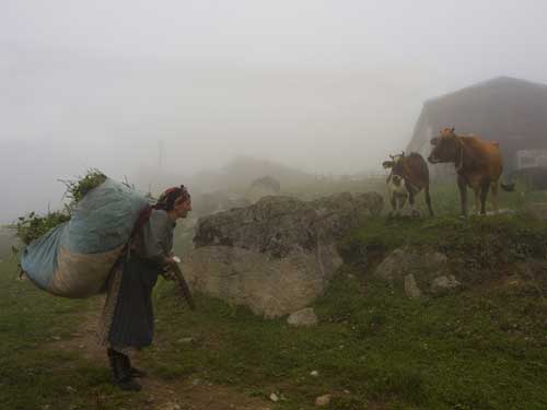Aynur �ZG�L