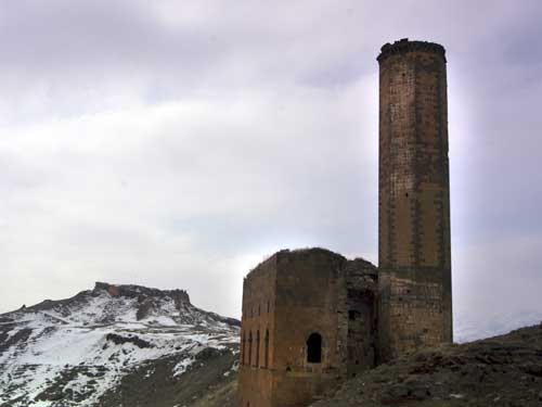 Aynur �ZG�L