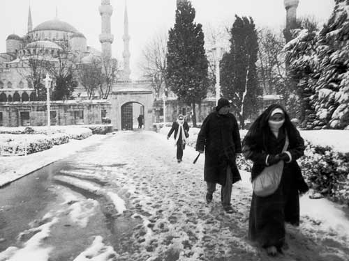Aynur �ZG�L