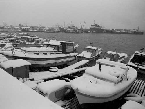Aynur �ZG�L