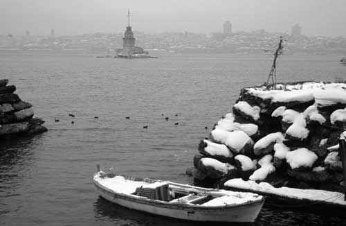 Aynur �ZG�L