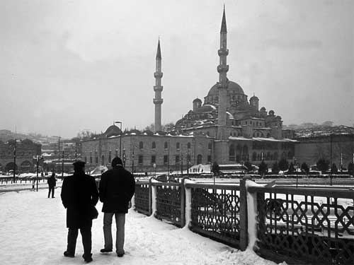 Aynur �ZG�L