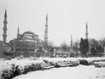 Aynur �ZG�L