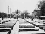 Aynur �ZG�L