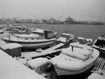 Aynur �ZG�L