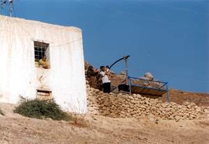 Berrin CERRAHOGLU