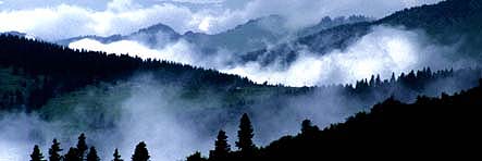 Dursunali SARIKOC
