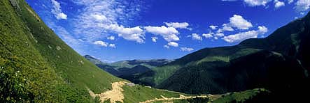 Dursunali SARIKOC