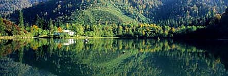 Dursunali SARIKOC
