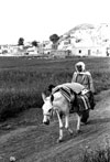 Dursunali SARIKOC