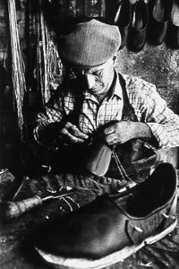 Erdal YAZICI