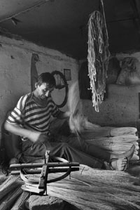 Erdal YAZICI