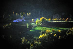 Kastamonu - Do�anyurt