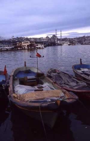 Nadir EDE