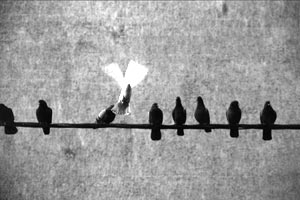 Fotograf : Selim GÜNEŞ