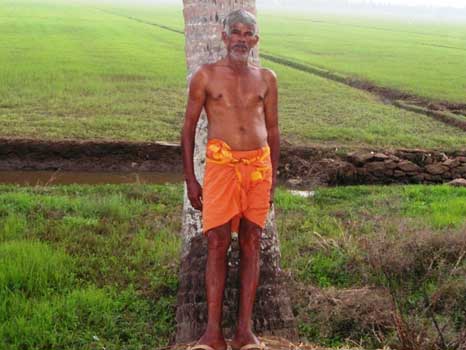 Hindistan - India
