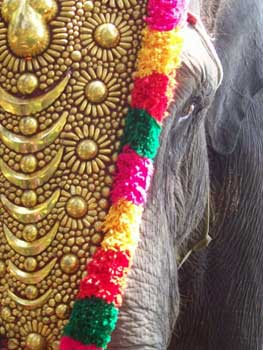 Hindistan - India