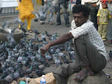 Hindistan - India