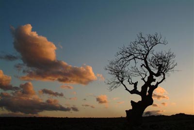 fotograf:   Faruk AKBA� - Gaziantep
