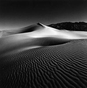 Fotograf : Brian Henson