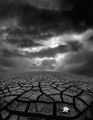 Fotograf : Craig Gordon