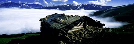 Dursunali SARIKOC
