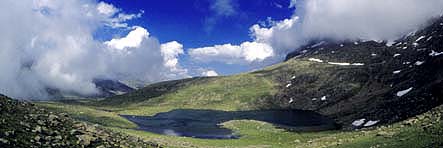 Dursunali SARIKOC