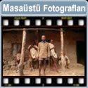 Doga Fotografi